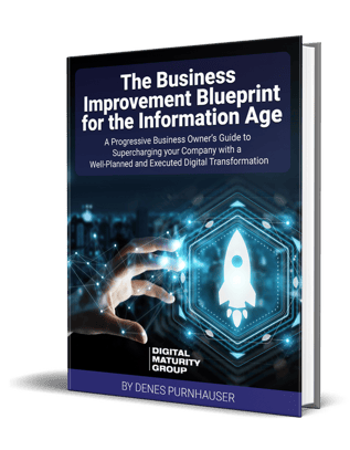 Business Improvement Guide for the Digital Age